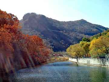 新澳天天开奖资料大全旅游团，机油多久换一次